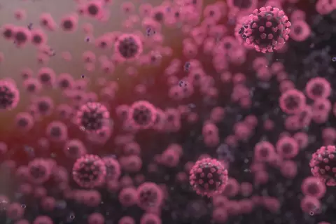Viruses